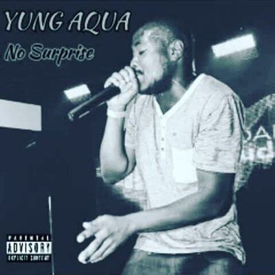 aqua nigga song .